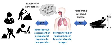 Toxics Free Full Text Relationship Between Occupational Exposure To