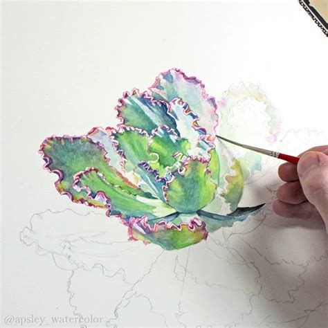 Aaron Apsley Apsley Watercolor Instagram Photos And Videos Apsley