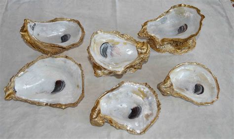 Oyster Shell Jewelry Dish Diy