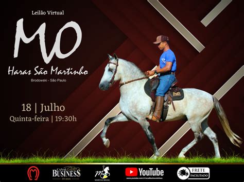 LOTE 16 FURACAO MVO LEILÃO VIRTUAL HARAS SÃO MARTINHO Canal Business