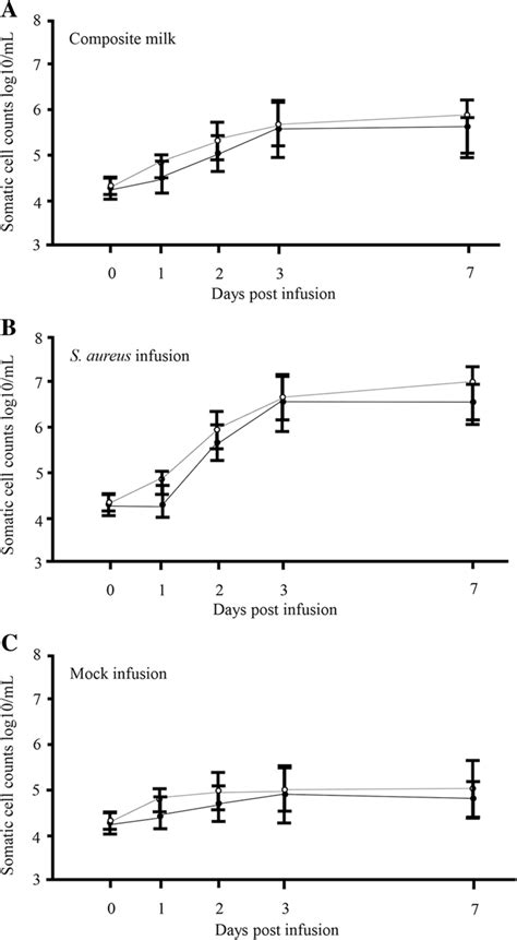 Somatic Cell Count In Milk Following Quarters Infusion With S Aureus