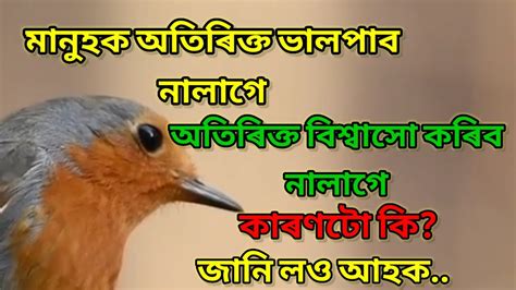 Motivational Quotes In Assamese Heart Touching Motivational Video In