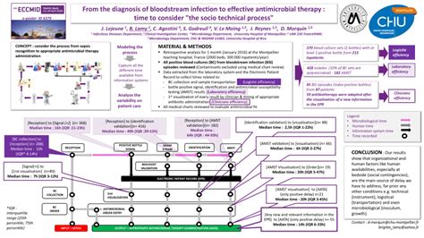 (PDF) From the diagnosis of bloodstream infection to effective ...