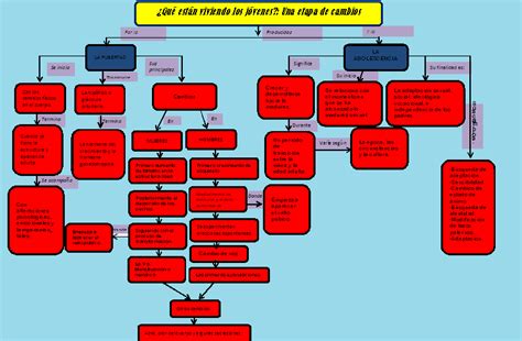 Crecimiento Y Sexualidad De Los Adolescentes Mapa Conceptual ¿qué Están Viviendo Los Jóvenes