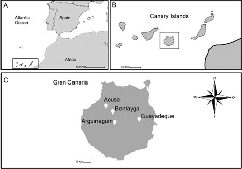 Gran Canary Island and Guanche mummies locations. | Download Scientific ...