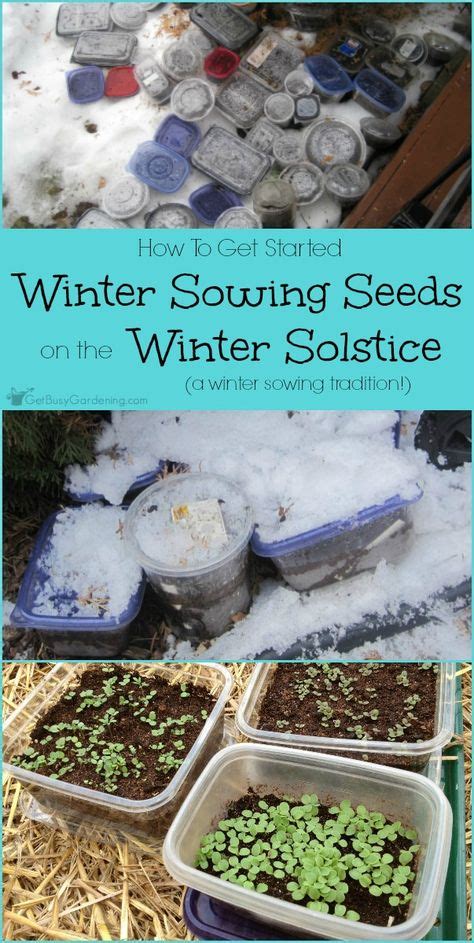 Gardening Winter Sowing Ideas Sowing Winter Garden Winter