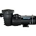 Amazon Doheny S Harris Proforce Hp Above Ground Pool Pump V