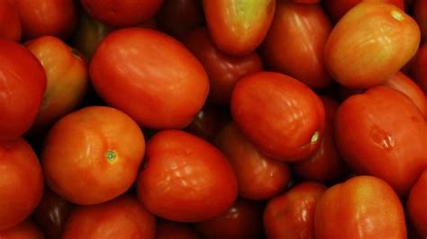 Serres chauffées quatre organisations disent non aux tomates bio en hiver