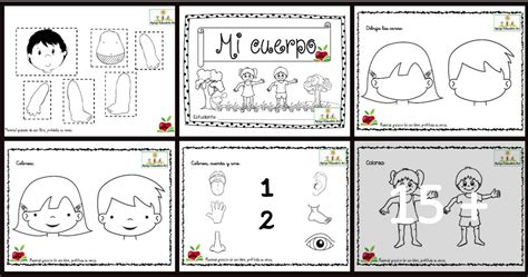 Cuaderno Completo Para Trabajar El Cuerpo Humano En Infantil Y Primaria Hot Sex Picture