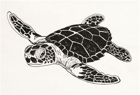 Sea Turtle Clip Art Black And White