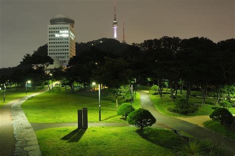 Premium Photo | View on n seoul tower from a park by night