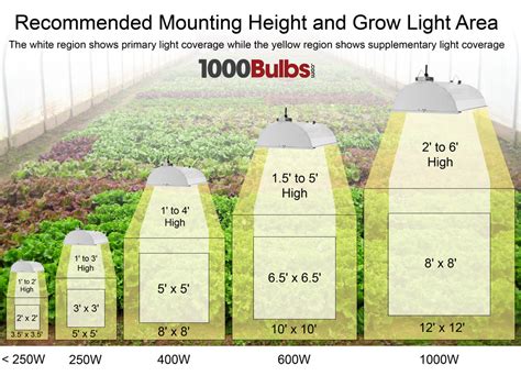 Grow Light Basics Part 1 — Blog