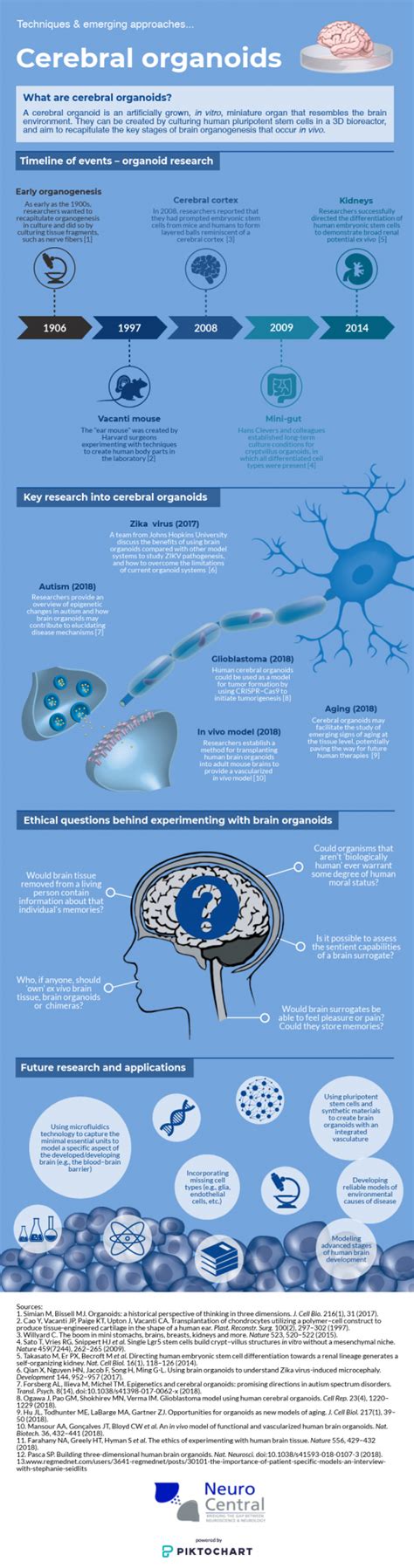 Infographic Techniques And Emerging Approaches Cerebral Organoids