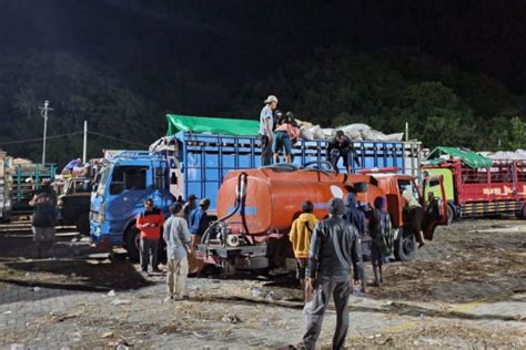 Truk Pengangkut 1 350 Sapi Tertahan Pelabuhan Gili Mas