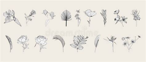 Illustration With Big Collection Of Spring And Garden Flowers Silhouettes Isolated On White