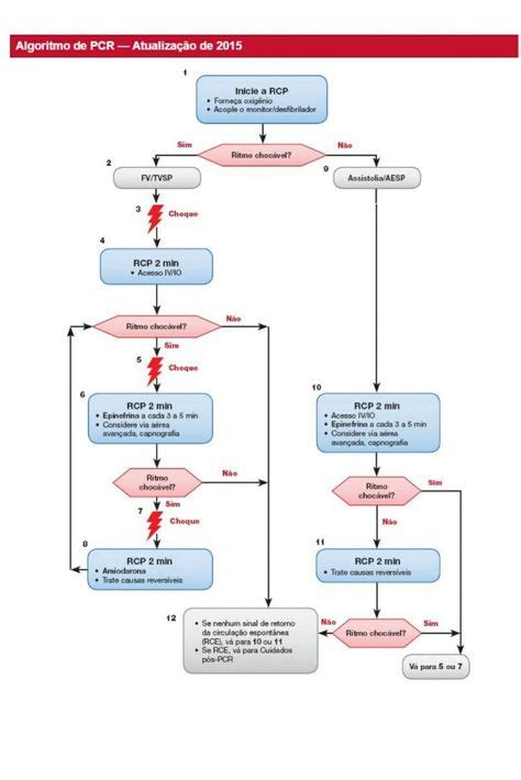 Veja como é o protocolo de atendimento a parada cardiorrespiratória