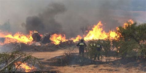 Declaran Alerta Roja Para La Comuna De Padre Hurtado Por Incendio