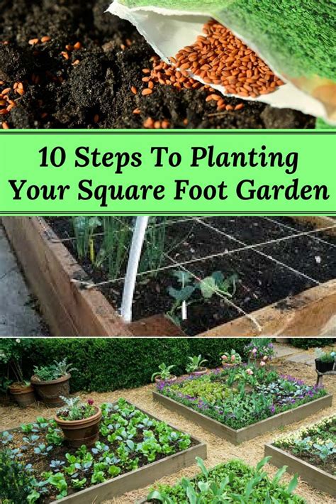 10 Steps To Planting Your Square Foot Garden Home And Gardening Ideas