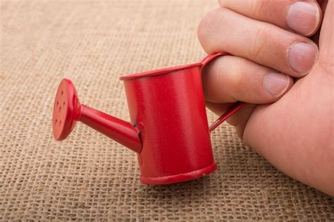 Premium Photo Hand Holding A Watering Can On Canvas Background