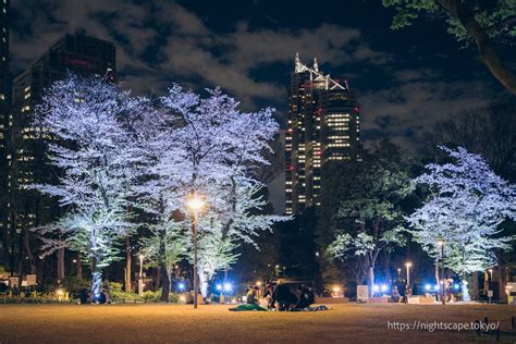 Shinjuku Central Park nightview info(highlights, directions, entrance ...