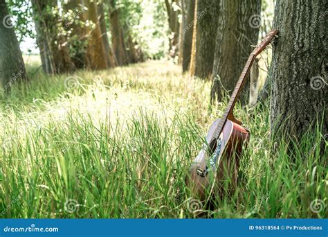 Guitar In Nature Stock Photo Image Of Foliage Forest 96318564