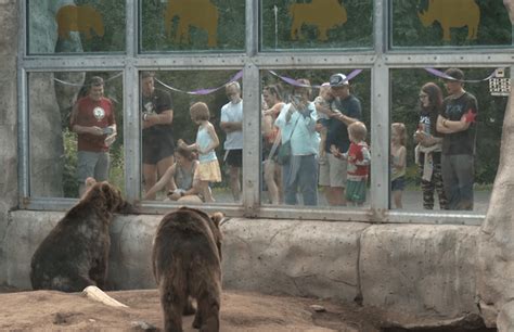 Lake Superior Zoo celebrates 100 years with Zoo La Palooza - WDIO.com