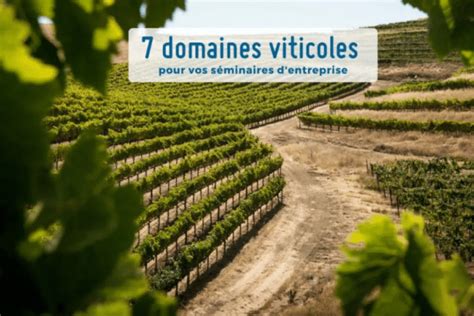 7 domaines viticoles pour vos événements dentreprise