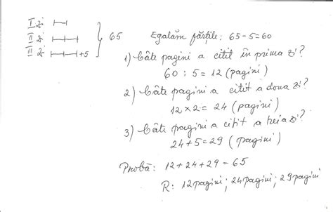 Probleme Care Se Rezolva Prin Metoda Grafica Clasa Brainly Ro