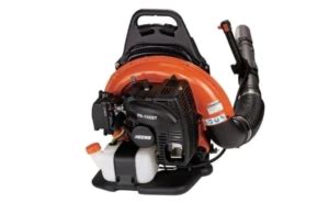 Echo Pb St Vs Stihl Br Whats The Better Leaf Blower The