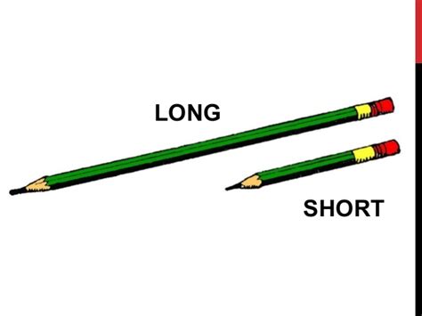 long  short kg  grade quiz quizizz