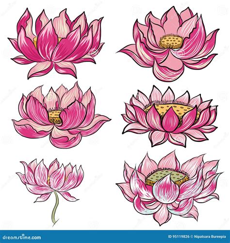 Japanese Lotus Tattoo Drawing