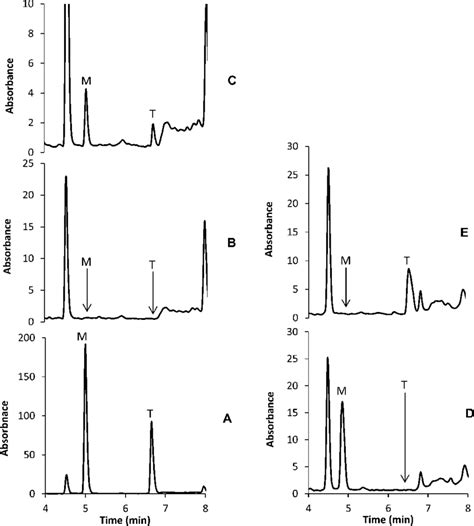 Representative Chromatograms Blank Plasma Spiked With 5000 Ngml Of