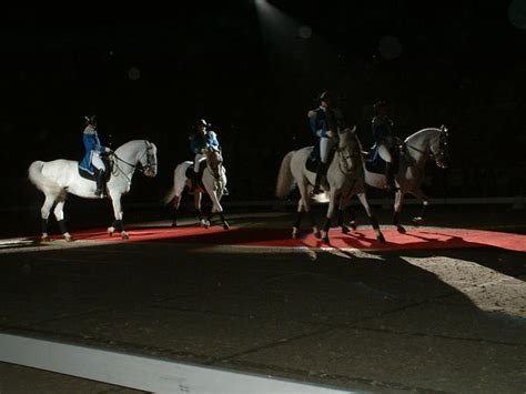 Lipizzaner - Dressage Group by Amysthia on DeviantArt