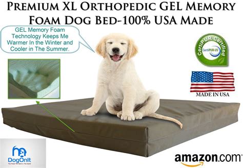 Best Memory Foam Dog Beds (4 Comfy Sleep Stations for Your Pup) | HerePup!