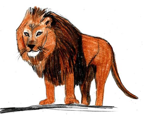 Female Lion Sketch at PaintingValley.com | Explore collection of Female ...