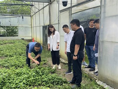 【深入学习贯彻党的二十大精神】碧江区和平乡党委书记陈根毅：迈向新征程 担当新使命工作发展建设