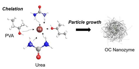 Researchers develop organic nanozymes suitable for agricultural use