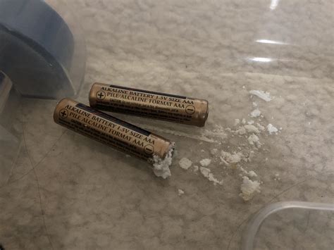 Why Do Kirkland Batteries Leak at Darcy Ryan blog