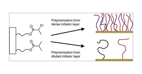 Control Of The Density Of Polymer Brushes Prepared By Surface Initiated