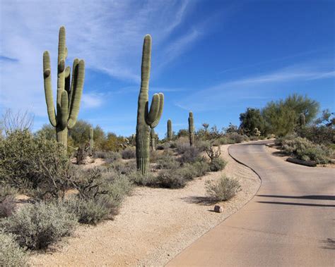 Carefree Photos Featured Images Of Carefree Central Arizona