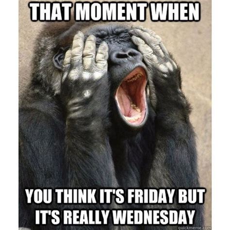 39 Funny Wednesday Memes to Get You Through Hump Day | Work + Money