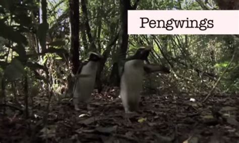 Benedict Cumberbatch can't say 'penguins', according to this 2009 clip ...