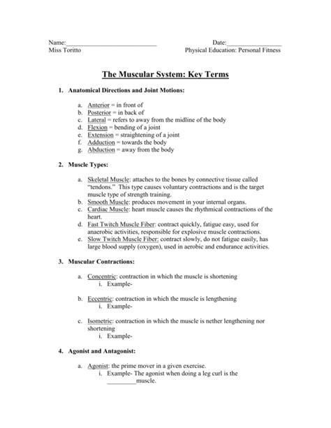 Word Mint Muscular System Worksheet