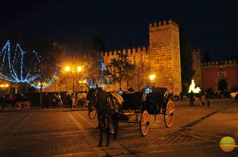 Christmas In Seville Spain - A Night Stroll. - NEXTBITEOFLIFE BLOG