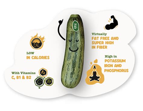 Flavor And Nutrition In Its Purest Form CrÜ Zucchini