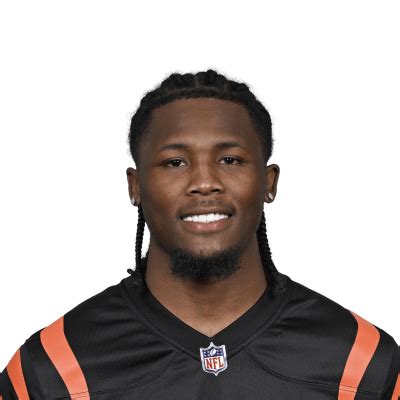 Tee Higgins Stats Summary | NFL.com