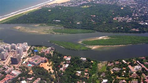 How the public is getting India's Adyar River clean - World Rowing