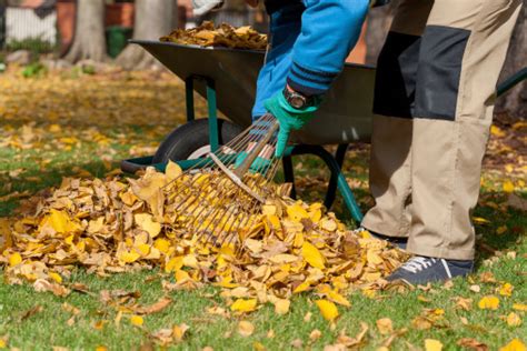 Fall Clean-up Tips - Valley Structures