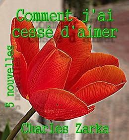 Comment J Ai Cess D Aimer Nouvelles D Ici Et D Ailleurs T Ebook