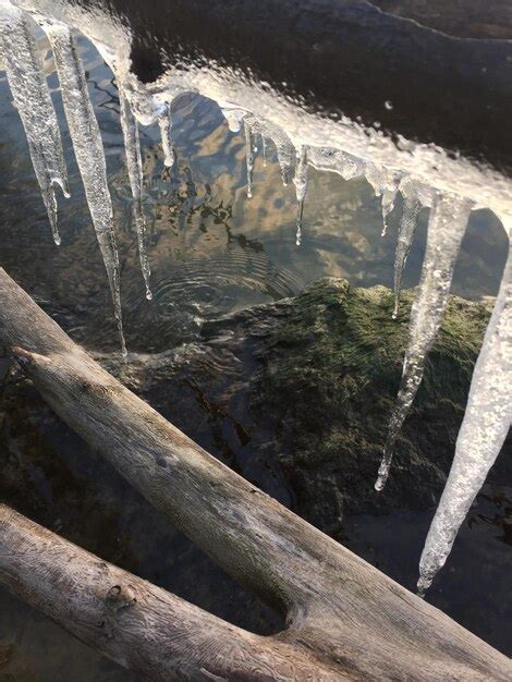 Premium Photo Close Up Of Icicles On Tree